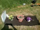 image of grave number 105426